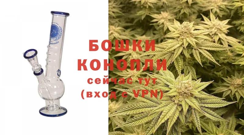 купить наркоту  Гусев  Марихуана THC 21% 